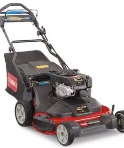 Toro TimeMaster 30 inch 223cc Personal Pace Mower, Electric Start
